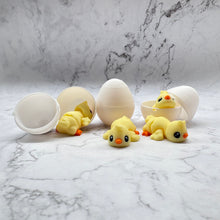 Load image into Gallery viewer, Baby chick in an egg