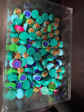 Load image into Gallery viewer, Rowan’s Pet Adoption