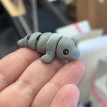 Load image into Gallery viewer, Rowan’s Pet Adoption