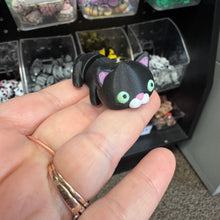 Load image into Gallery viewer, Rowan’s Pet Adoption