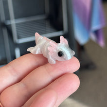 Load image into Gallery viewer, Rowan’s Pet Adoption