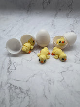 Load image into Gallery viewer, Baby chick in an egg