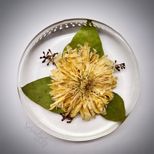 Load image into Gallery viewer, Floral Preservation Memorial Keepsake Coasters