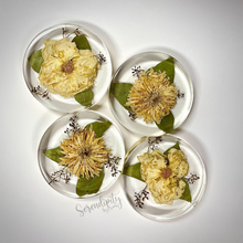 Load image into Gallery viewer, Floral Preservation Memorial Keepsake Coasters
