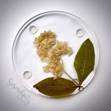 Load image into Gallery viewer, Floral Preservation Memorial Keepsake Coasters