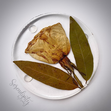 Load image into Gallery viewer, Floral Preservation Memorial Keepsake Coasters