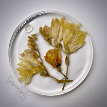 Load image into Gallery viewer, Floral Preservation Memorial Keepsake Coasters