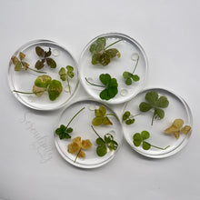 Load image into Gallery viewer, Floral Preservation Memorial Keepsake Coasters