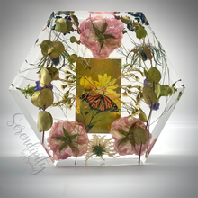 Load image into Gallery viewer, Large Hexagon Floral Preservation