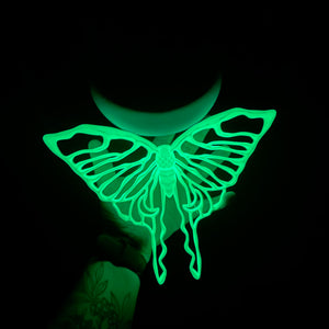 Luna Moth and Moon Shelf