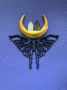 Luna Moth and Moon Shelf