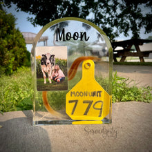 Load image into Gallery viewer, Arch Floral Preservation Memorial Keepsake

