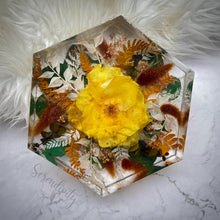 Load image into Gallery viewer, Large Hexagon Floral Preservation
